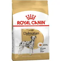 Royal Canin - Dalmatialainen Aikuinen 12 kg - Koirat - Koiranruoka - Kuivaruoka