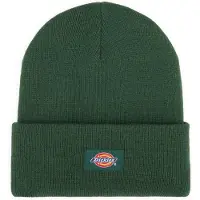 Dickies Gibsland K lasten pipo