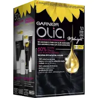 Garnier Olia kestoväri 1.10 Musta safiiri