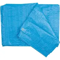 VOREL TARPAULIN BLUE 90g 4 x 5m