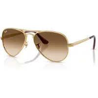 Ray-Ban Aviator Max - RB3925 001/51 5816