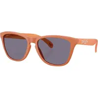 Oakley Frogskins - Prizm Grey OO9013-M155
