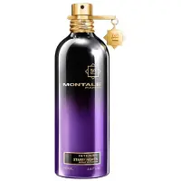 Montale Starry Nights, EdP Intense 100ml