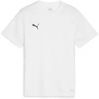 Puma Treenipaita Teamgoal - Valkoinen/musta/harmaa Lapset, koko YS/128 cm