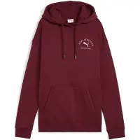 Puma Class Relaxed Fit Huppari