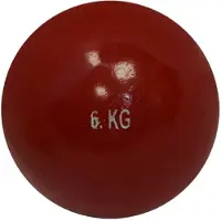 Sporti France Training Weight 6kg Pallo