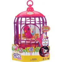 Little Live Pets - Lil' Bird & Bird Cage: Tiara Twinkles uudet valaistut siivet yli 20 äänellä ja reagoi kosketukseen