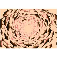 Kärkkäinen Artgeist Shoal... fototapetti