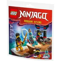 LEGO 30700 Ninjago: Arina's Phantom Dragon Battle – Small Building Set in a Bag (48 pieces)