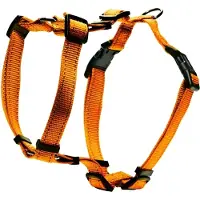 Dogman H-valjas Iris oranssi 15mm