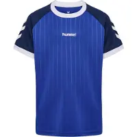 Hummel Stripe Lyhythihainen T-paita