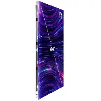 Philips – PCS IN BOX 2 44" Cabinet (44HDL5000PP/00)