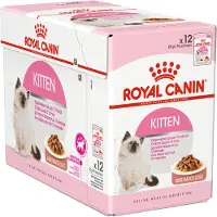 Royal Canin 48x85g Kitten kastikkeessa kissan märkäruoka