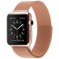 SKALO Milanese Loop Apple Watch SE 44mm - Ruusukulta