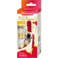 Beaphar Puppy Kit -hammastahna ja -harja