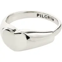 Pilgrim Sormus 'Arin' hopea
