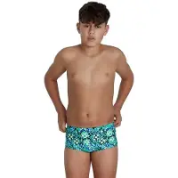 Speedo Pond Life 13 Cm Club Training Allover Uimahousut