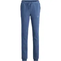 Jack & jones Jpstgordon Jjnewsoft Sweat Pant Noos Jnr - Blue - 176