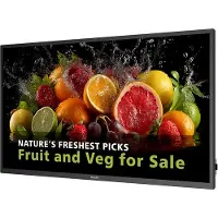 Philips 55" UHD 24/7 600 NITS ANDROID SOC WIFI (55BDL5050D/00)