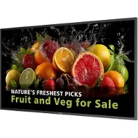 Philips 43" UHD 24/7 600 NITS ANDROID SOC WIFI (43BDL5050D/00)