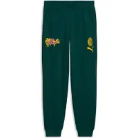 Puma AC Milan Collegehousut FtblCulture - Vihreä/Keltainen - , koko Large