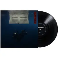 POLYDOR - Hit Me Hard And Soft (LP)