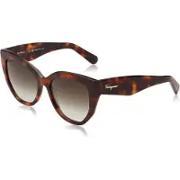 Ferragamo Sf1061s-240 Naisten Aurinkolasit