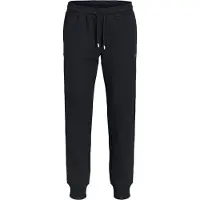 Jack & Jones Jack&Jones Plus Jpstgordon miesten collegehousut