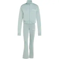 Adidas Urheilupuku pastellinvihreä / valkoinen