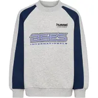 Hummel Hmljr Oversized Iconic Crew Bees - Grey - 134/140