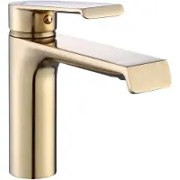 REA HASS Gold Harjattu Gold Brush pesuallashana Matala