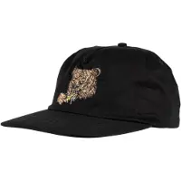 Santa Cruz Braun Great Outdoors Snapback Lippis