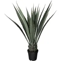 Mr Plant Agave Green 120 cm