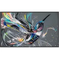 Philips 75BDL3511Q - 75" diagonaaliluokka (74,5" katseltavaksi) - Q-Line LED-taustavalaistu LCD-paneelinäyttö - digitaalinen opaste - 4K UHD (2160p...