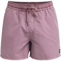 Quiksilver Everyday Surfwash Volley 15 - Purple - XL