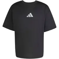Adidas Climacool Power Training Graphic Oversized Lyhythihainen T-paita