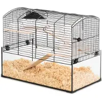 Zolux Cage Neo Panas Little lasikyvetillä, musta