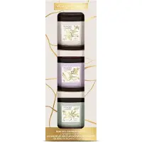 Yankee candle Little Luxuries votiivikynttilä lahjasetti