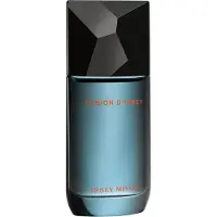 Issey Miyake Fusion d'Issey Pour Homme, EdT 100ml