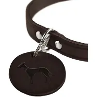 Hunter Pet - Hundhalsband Aalborg Brun 52 - Halsmått 38-47cm - Koirat - Kaulapannat