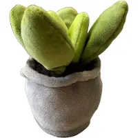 Take Me Home Plants Plush S 12-17cm 3asst.