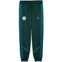 Puma Manchester City Fc King Anthem Housut