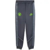Puma Manchester City Fc King Anthem Housut