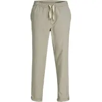 Jack & Jones Housut 'JPSTACE SOLAR' beigenharmaa