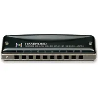 Suzuki Musical Instruments HA-20 Harmonikka - C