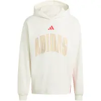 Adidas Stadium Graphic Huppari