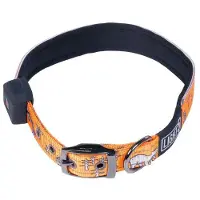 LIGHT5 Kaulapanta Doggo Led Collar, Oranssi, M