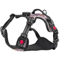 LIGHT5 Valjaat Doggo Led Harness, Camo, S