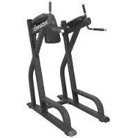 Dinox Jalkojennosto / Dippiteline Pro Dip Station