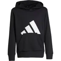 Adidas Essentials Big Logo Huppari